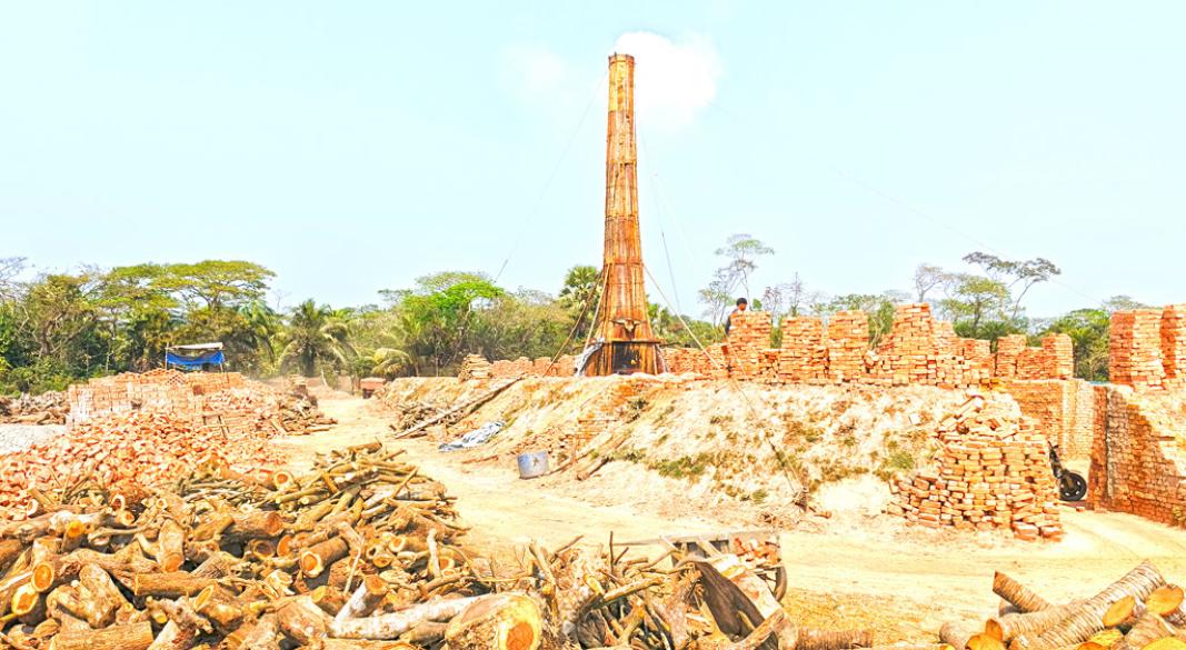 আইন অমান্য করে ইটভাটায় কয়লার পরিবর্তে কাঠ পোড়ানো হয়।ভোলার চরফ্যাশন উপজেলার নীলকমল ইউনিয়ন