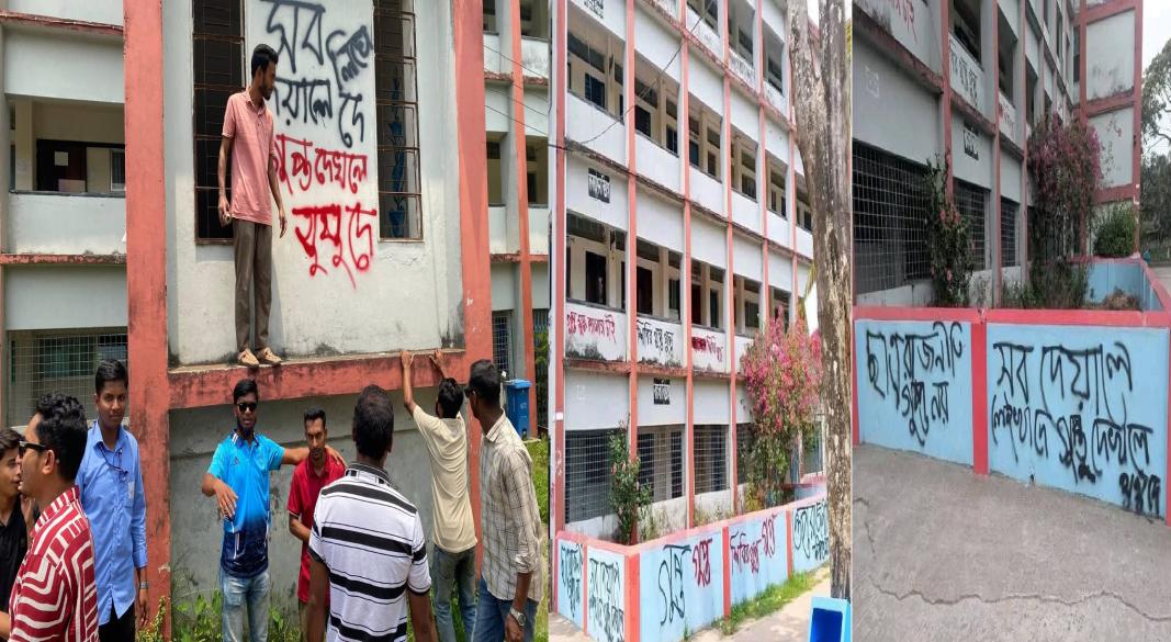 গুপ্ত স্লোগানে ভরে উঠেছে বরগুনা সরকারি কলেজের দেয়াল, অভিযোগ ছাত্রদলের বিরুদ্ধে