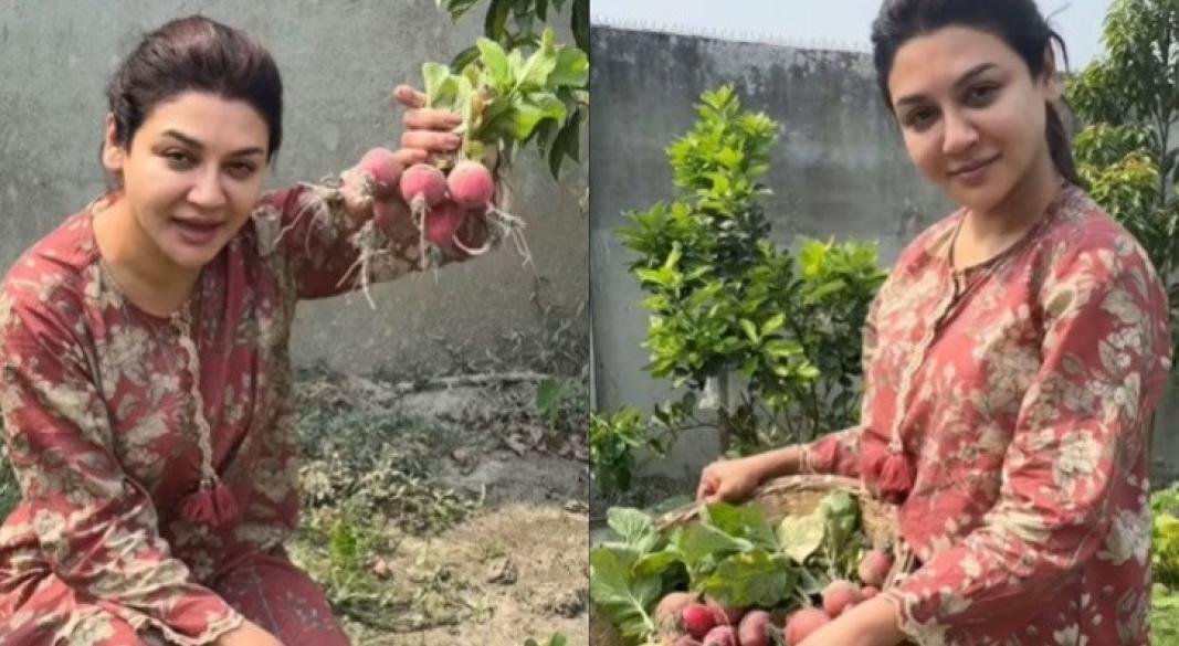 জনপ্রিয় মুখ জয়া আহসান