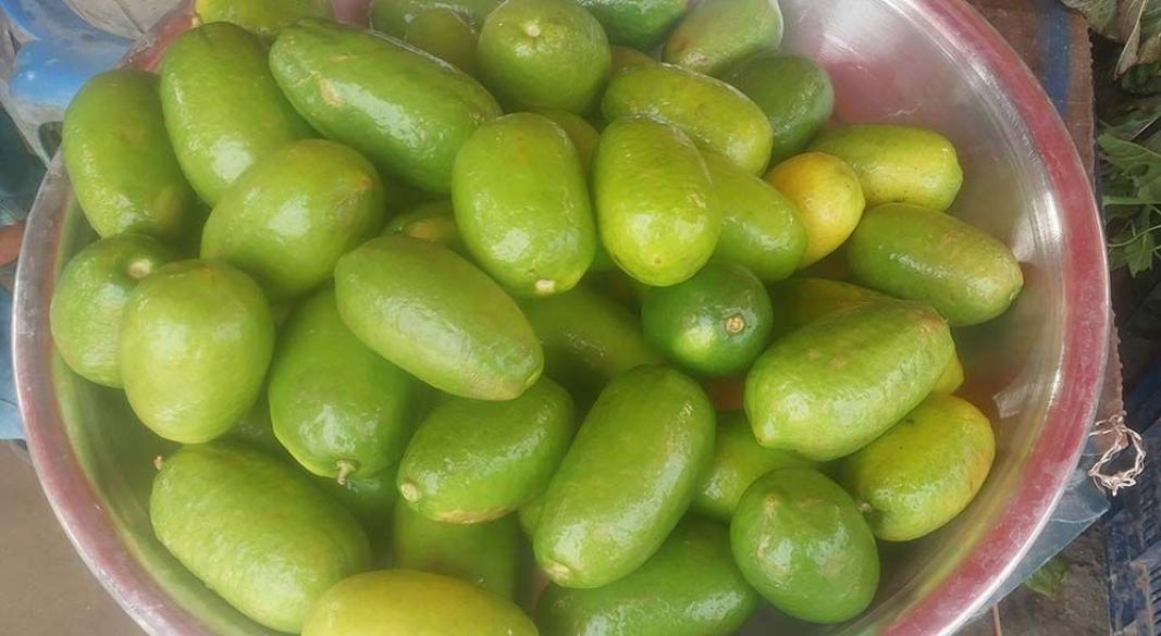 লেবু।