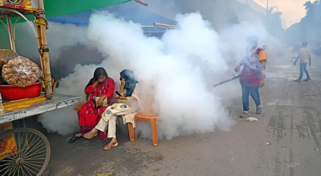 মশা নিয়ন্ত্রণে ধোঁয়ার ব্যবহার কার্যকর নয় বলেই মত বিশেষজ্ঞদের (ফাইল ছবি)