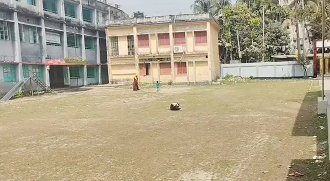 অধিকাংশ শিক্ষাপ্রতিষ্ঠানে নেই শহীদ মিনার