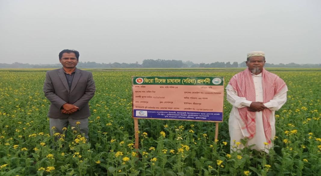 স্বল্প চাষে কম খরচে বেশি লাভ